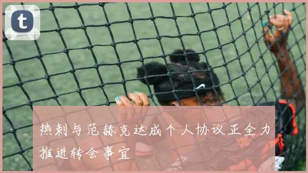 热刺与范赫克达成个人协议正全力推进转会事宜